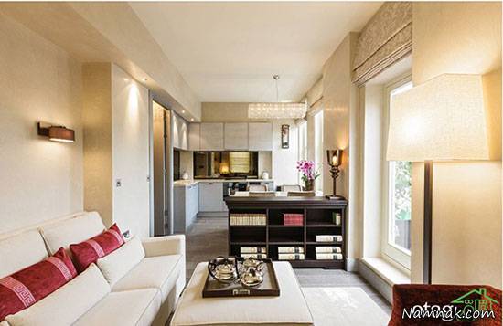 اتاق نشینمن