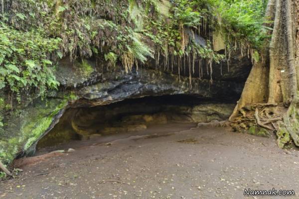 بقایای انسانی 
