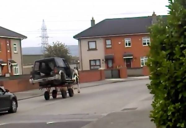 کالسکه با اسب