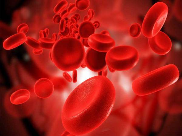 تولید 120 تا 180 میلیون گلبول قرمز در یک دقیقه